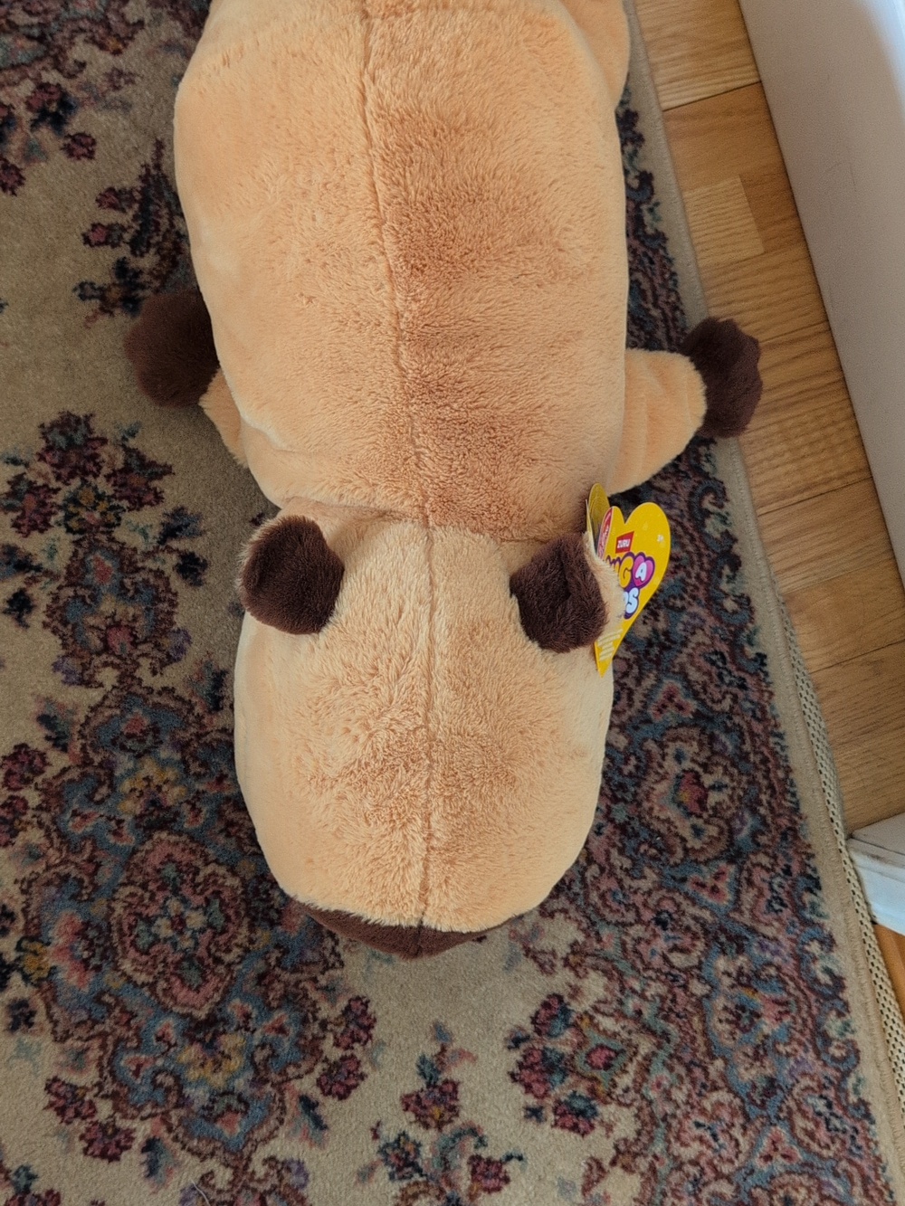 NWT Soft Capybara Weighted Plushy - Picture 4 of 12
